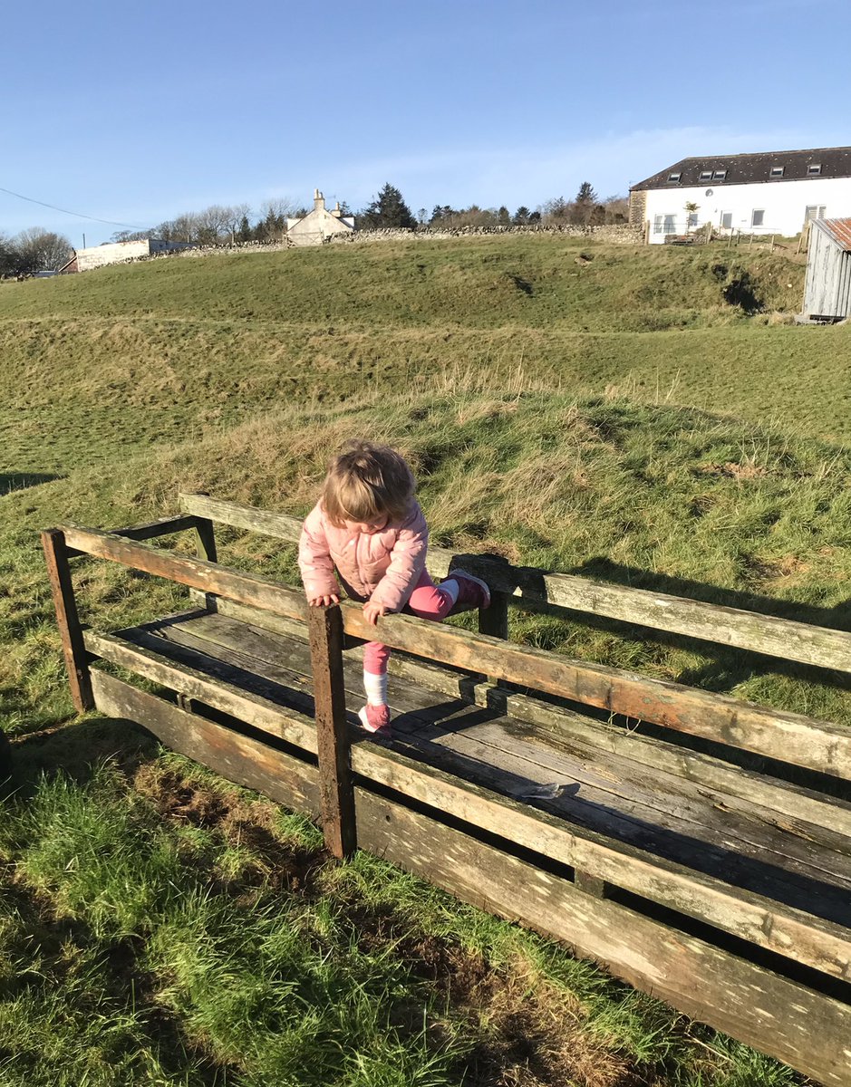 StovellAde's tweet image. Encouraging exploration to find their own ways of moving. 🏴󠁧󠁢󠁳󠁣󠁴󠁿😎#FunctionalFit