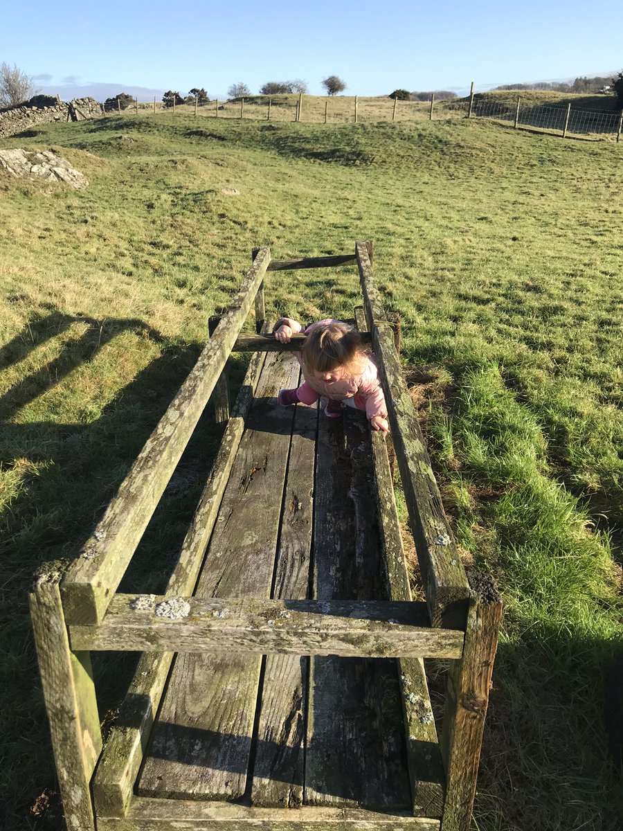 StovellAde's tweet image. Encouraging exploration to find their own ways of moving. 🏴󠁧󠁢󠁳󠁣󠁴󠁿😎#FunctionalFit