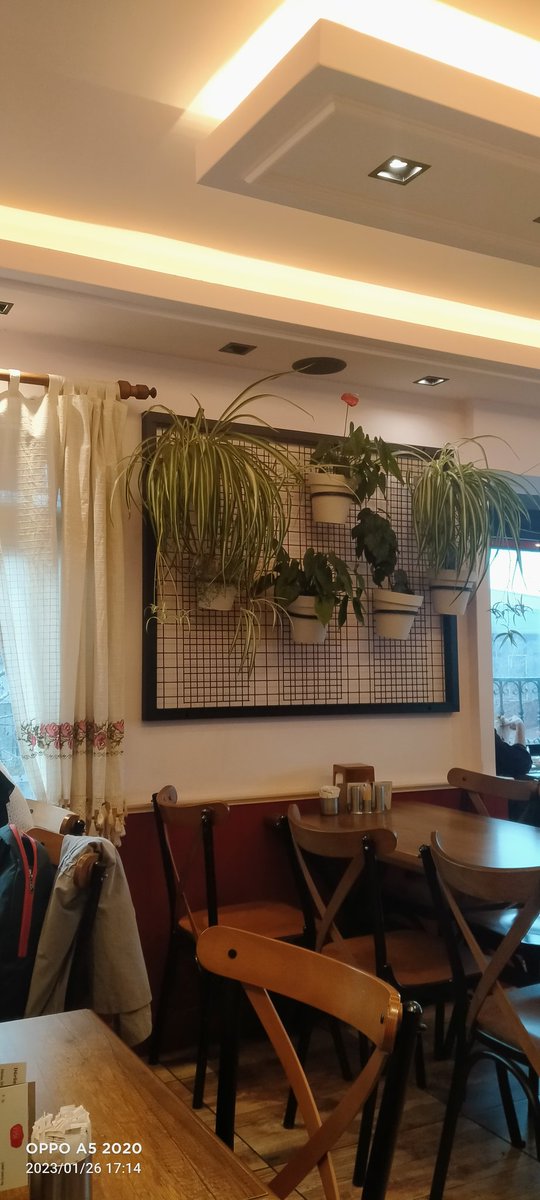Ranneclaa's tweet photo. Tavsiye üzerine metet közde döner... https://t.co/SxQ2VTwg0W