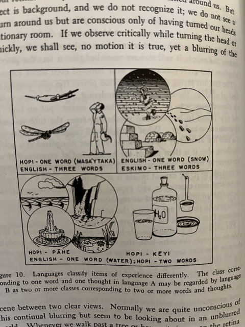 Markus A. Dahlem tweet media