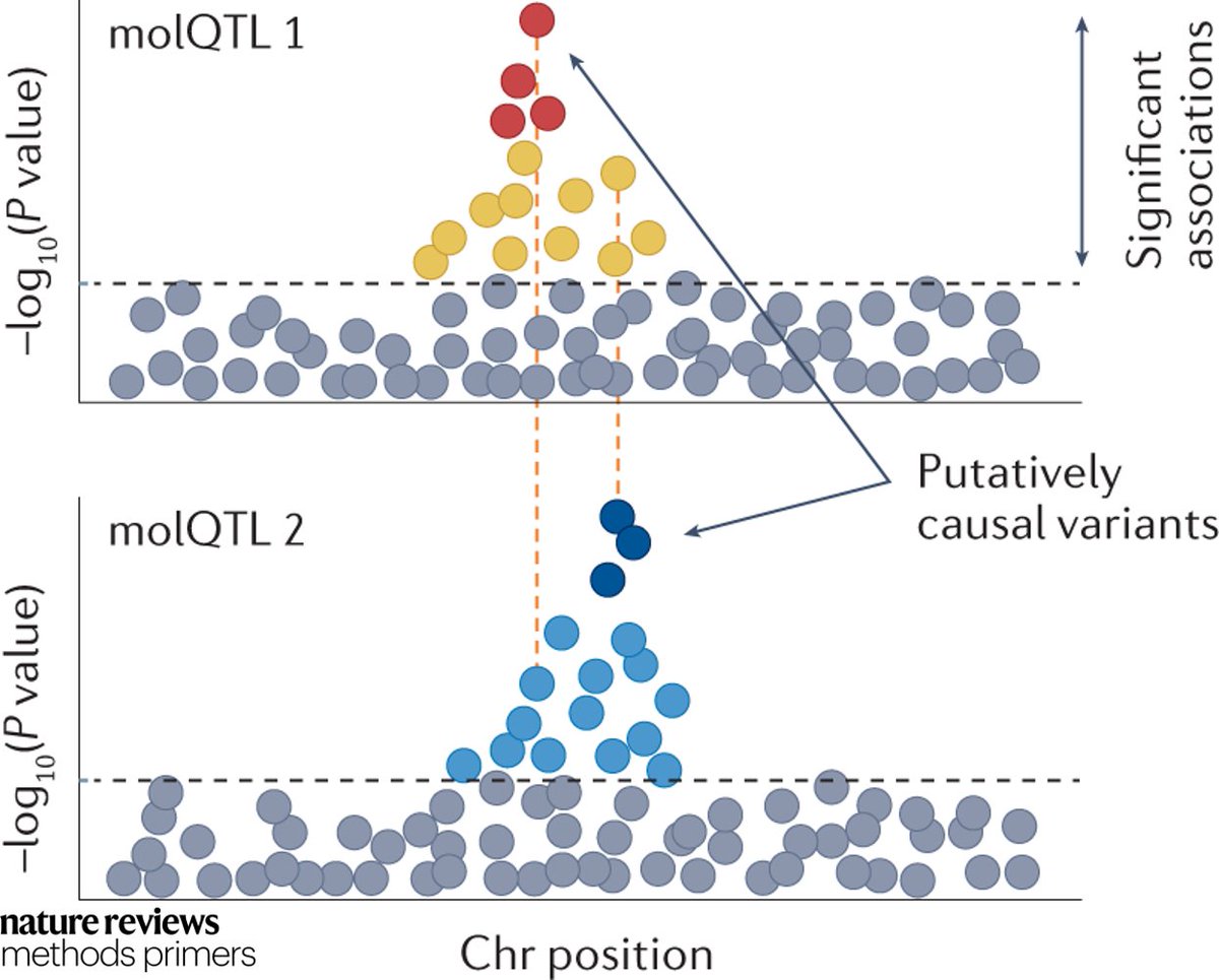 Nature Reviews Methods Primers on Twitter "New this week! Our authors