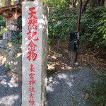 ひな🍡(ひなだいふく)@お得に豪華な旅をする仲良し夫婦✈️&元カジノディーラーのツイート画像