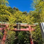 ひな🍡(ひなだいふく)@お得に豪華な旅をする仲良し夫婦✈️&元カジノディーラーのツイート画像