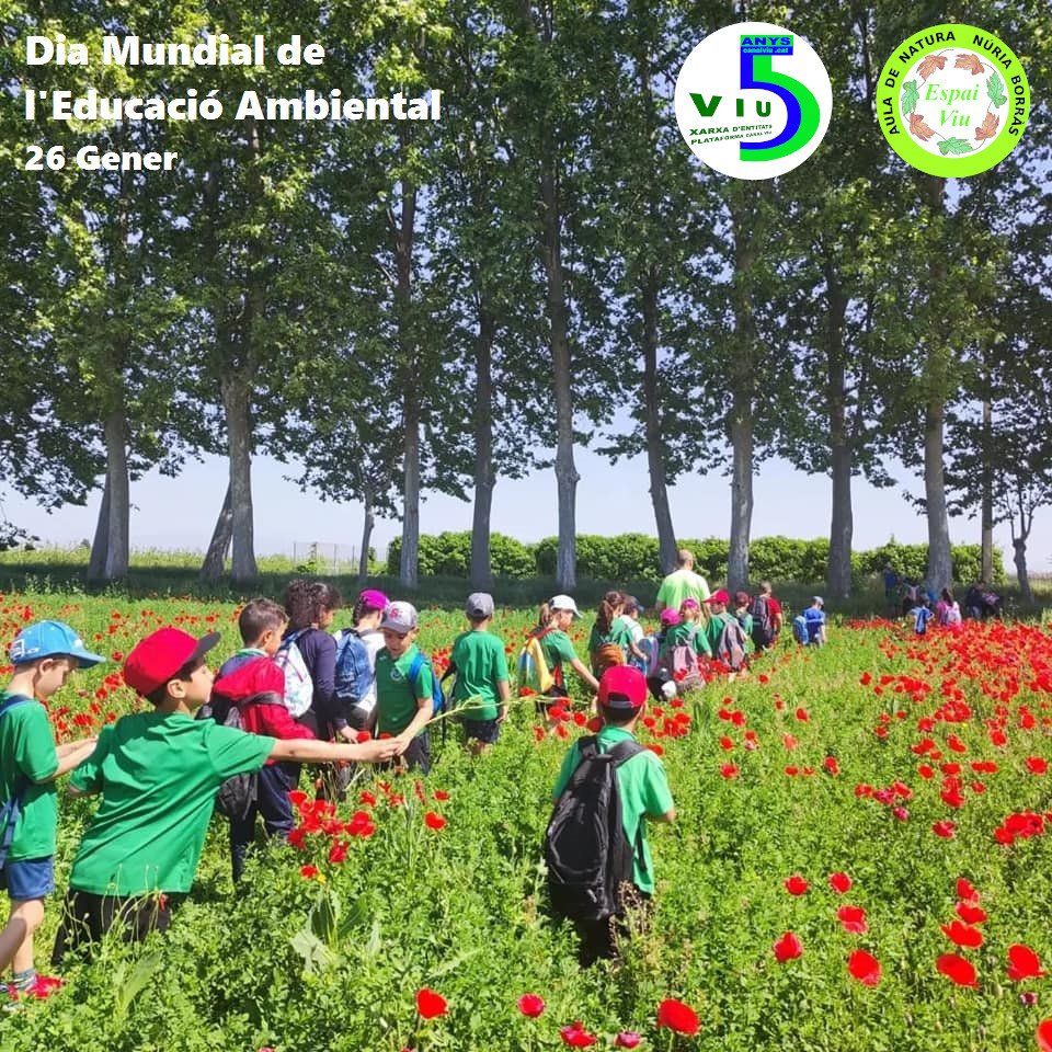 La Banqueta del Palau (@banquetadepalau) on Twitter photo 