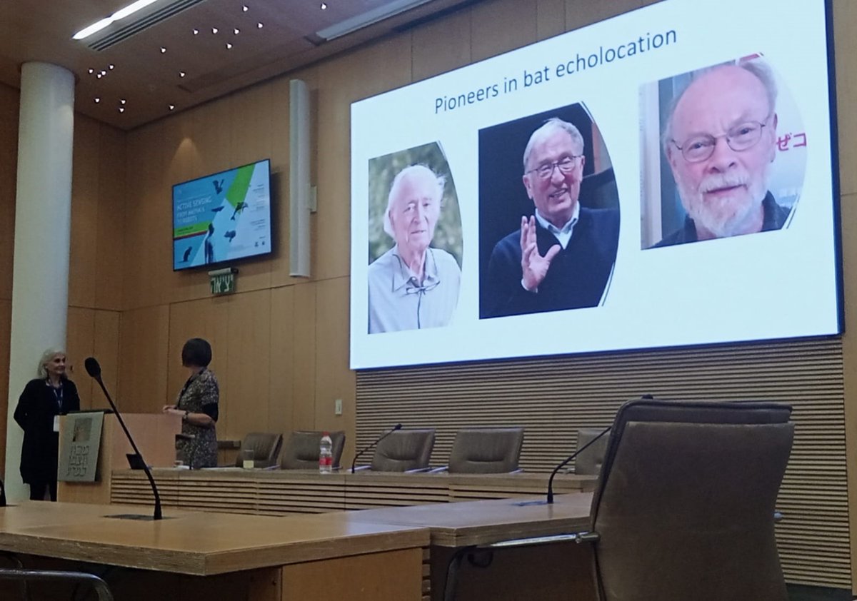 YovelBatLab's tweet image. What an ending for the active sensing meeting with a union of some of the great pioneers of bat echolocation-
Hans-Ulrich Schnitzler, James Simmons, Alan Grinnell
#Bats #Echolocation #ActiveSensing