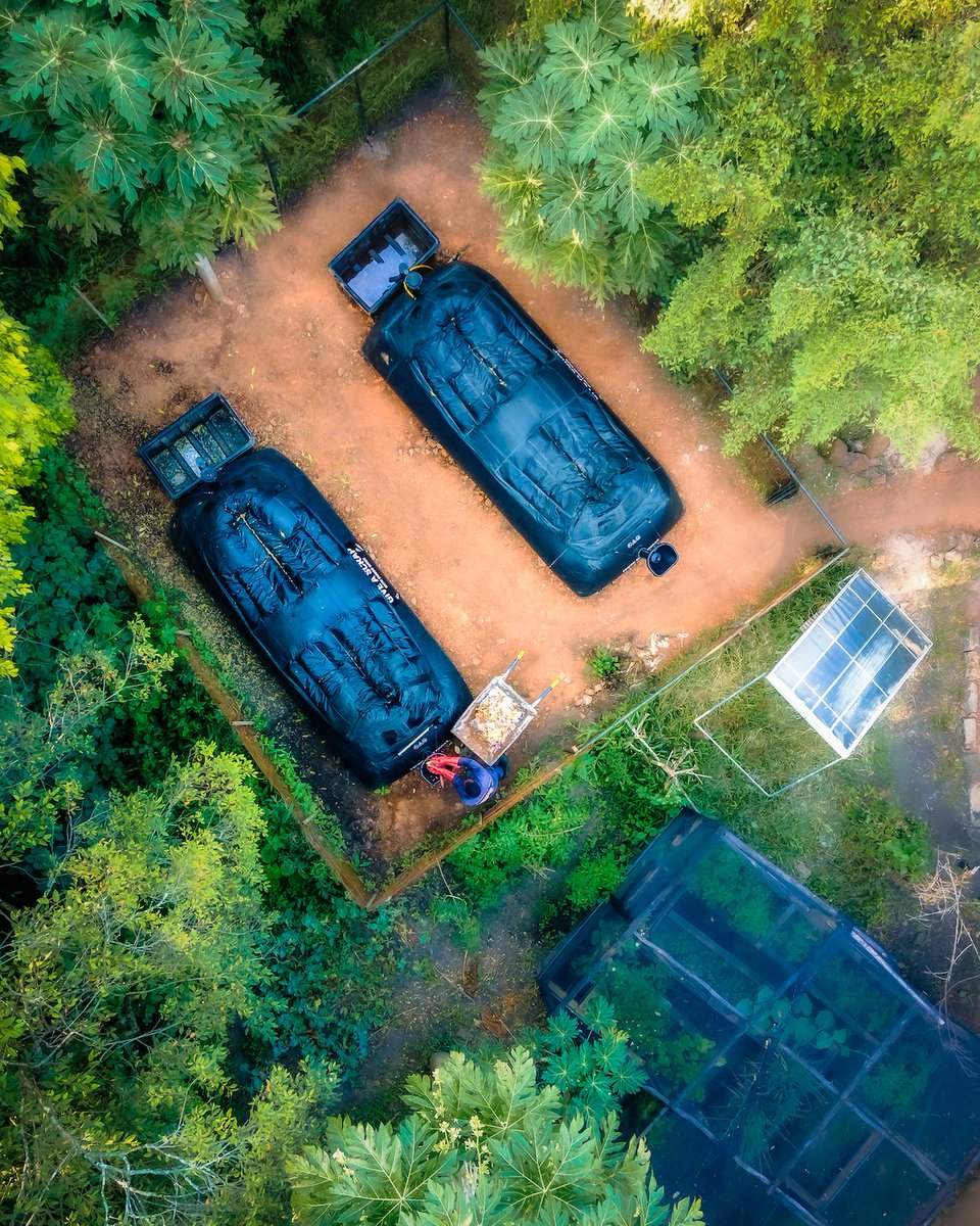 Emboo Camps tweet media