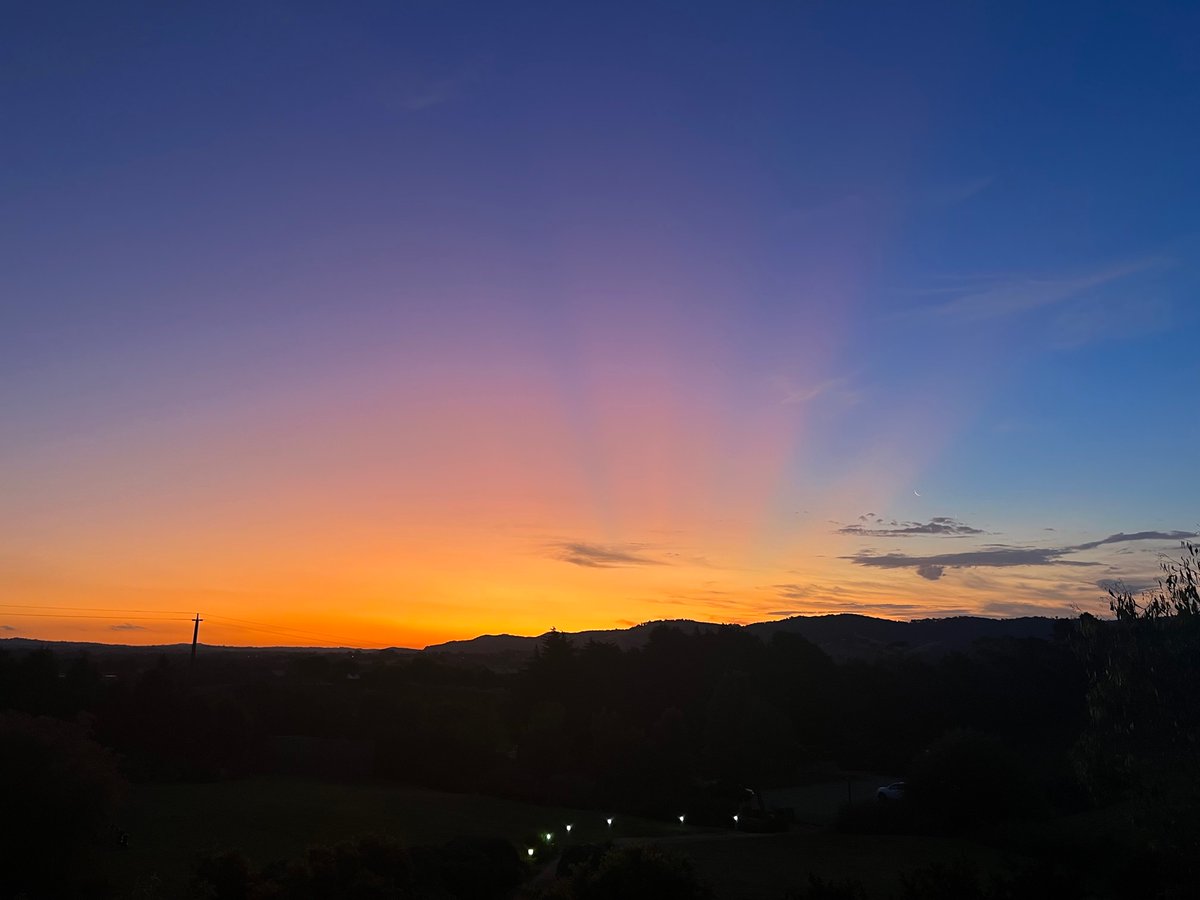 Lauren Passmore tweet media