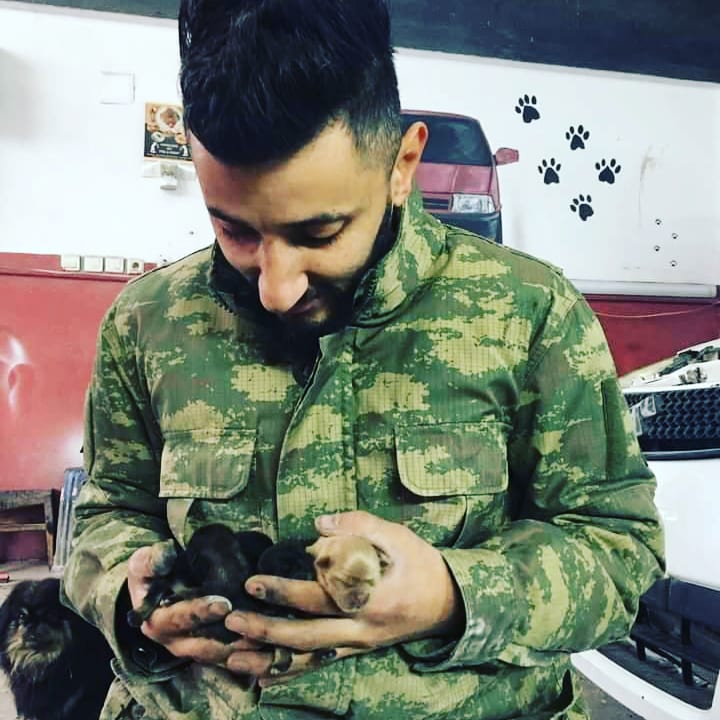 sevmutluol's tweet photo. Fotoğraf için teşekkür ederiz 😊🥰🤗
Fotoğraf sahibi İnstagram : miracorenofficial

#hayvanlarisevmutluol #satinalmasahiplen #hayvanlar #animals https://t.co/BLD0vpsjsc