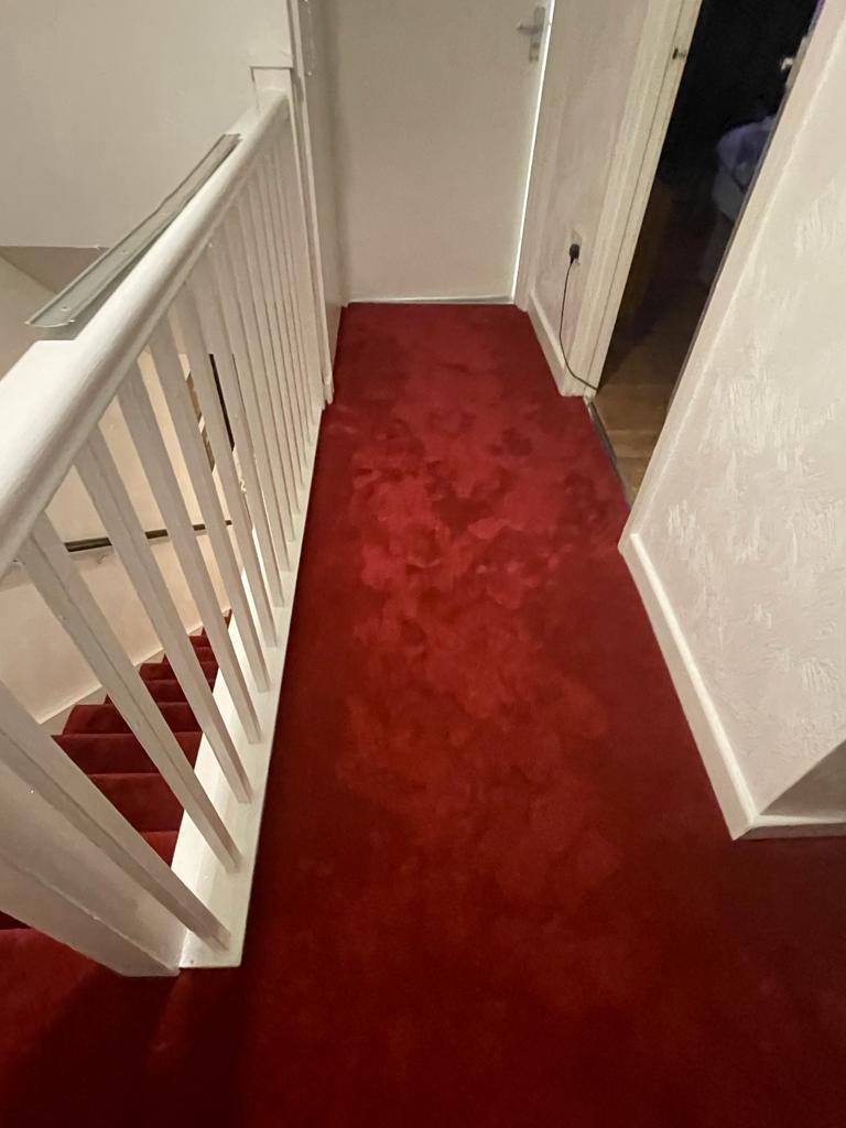 Grey is a very popular choice but it's nice to see some vibrant colour added to a home. 🥳  🏡

Here's a recent property where we installed our superior quality carpet 'Carousel Plus' in the colour Scarlet.👌🏼🐼