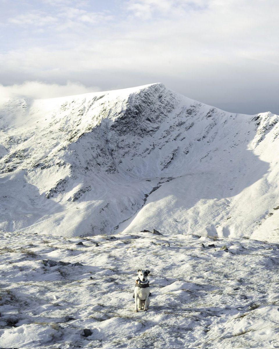 Patsd🪐 tweet media