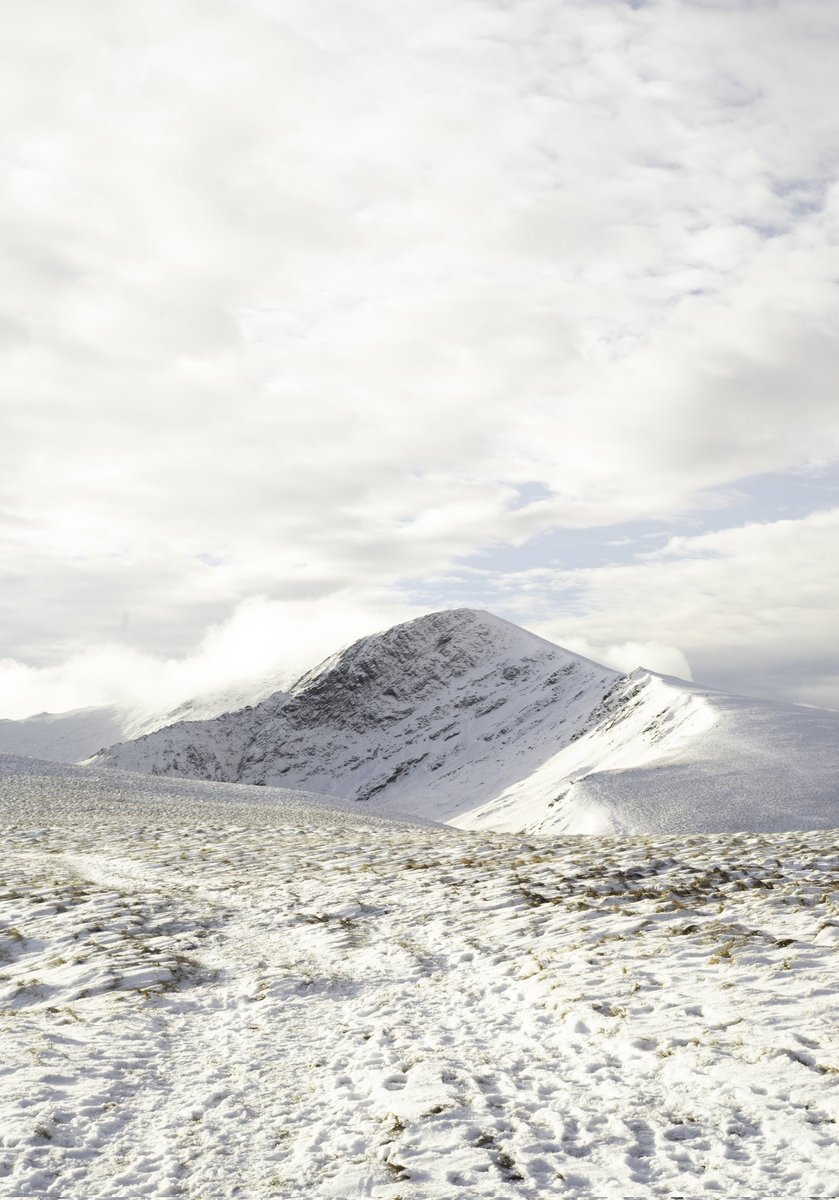 Patsd🪐 tweet media