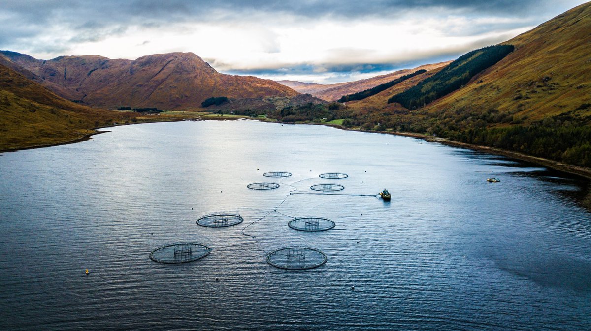 Aquaculture could account for 60% of seafood consumed by 2030 - how can this be achieved sustainably without negatively impacting marine ecosystems? <a href="/CF_Conf/">Ocean and Coastal Futures (OCF)</a> <a href="/mcsuk/">Marine Conservation Society</a> #CoastalFutures23