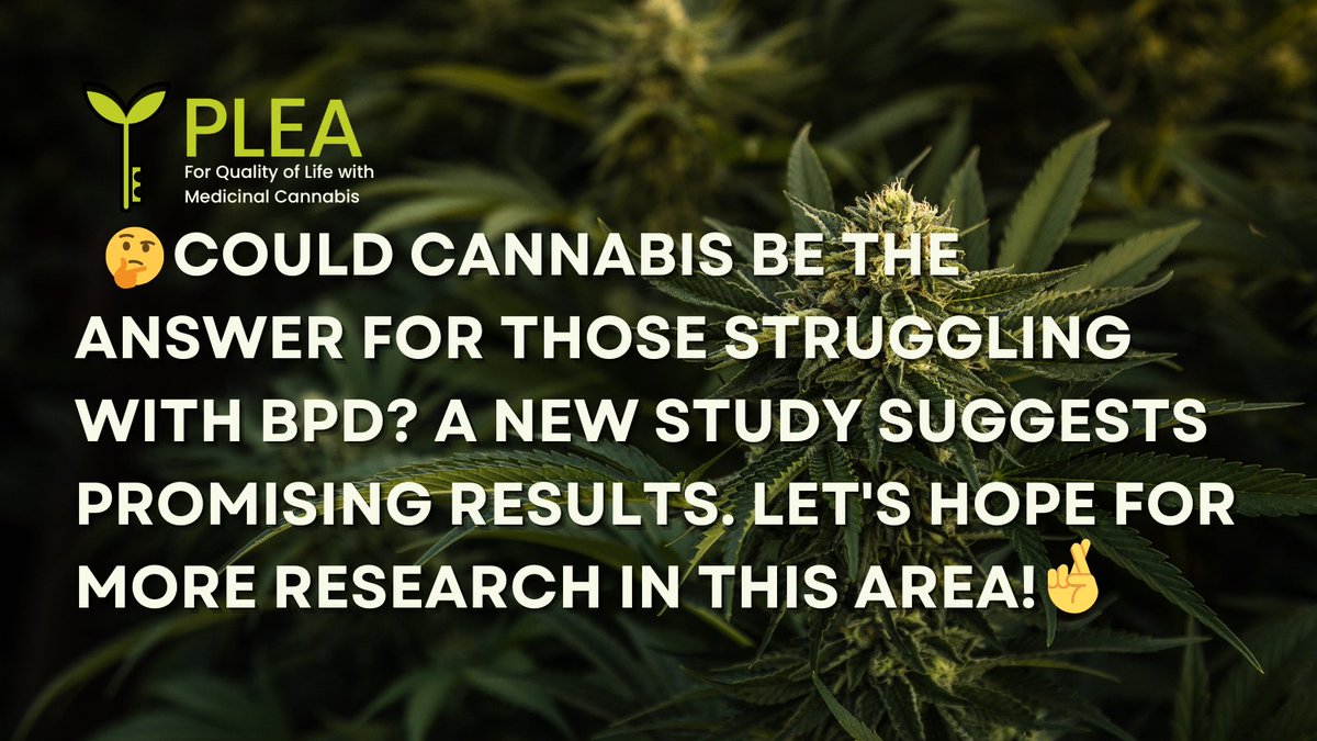 New study shows promise in the treatment of borderline personality disorder (#BPD) with 🌱#cannabis🌱. It's time to explore alternative options🤔. Check out the article for more: cannabishealthnews.co.uk/2023/01/24/can… #mentalhealthawareness #cannabismedicine #cannabisnews #cannabiscommunity