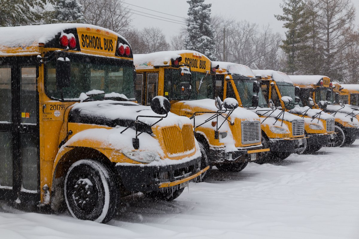 Toronto Catholic District School Board tweet media