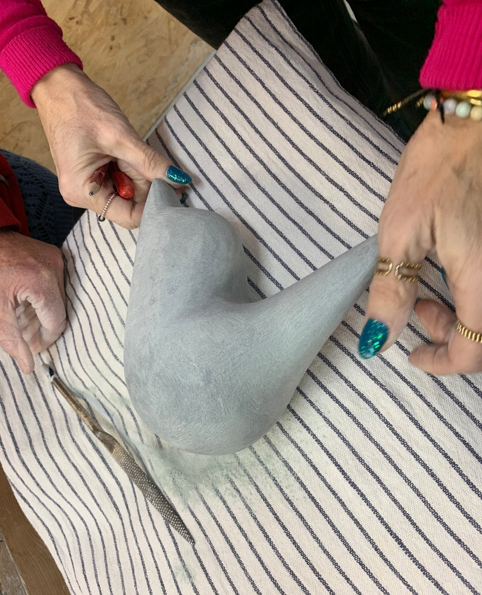 simone van olst tweet media