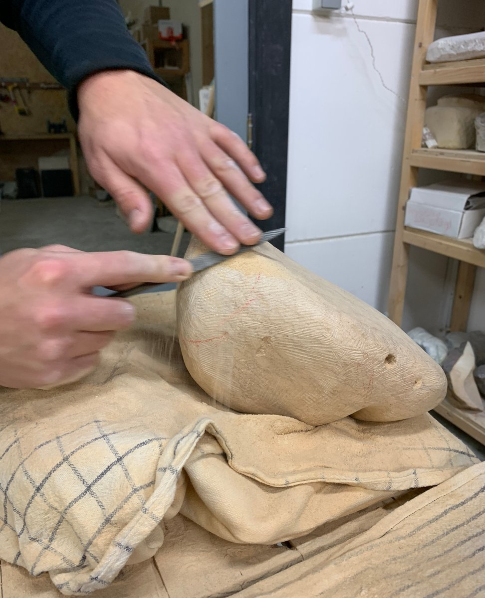 simone van olst tweet media