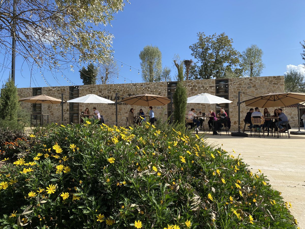 🍷Retomamos la temporada de visitas y catas! ¿Nos vemos este sábado a las 12:00? Reserva tu plaza 📞 636331931
Más info aquí ➡️ bit.ly/3fXGpxA