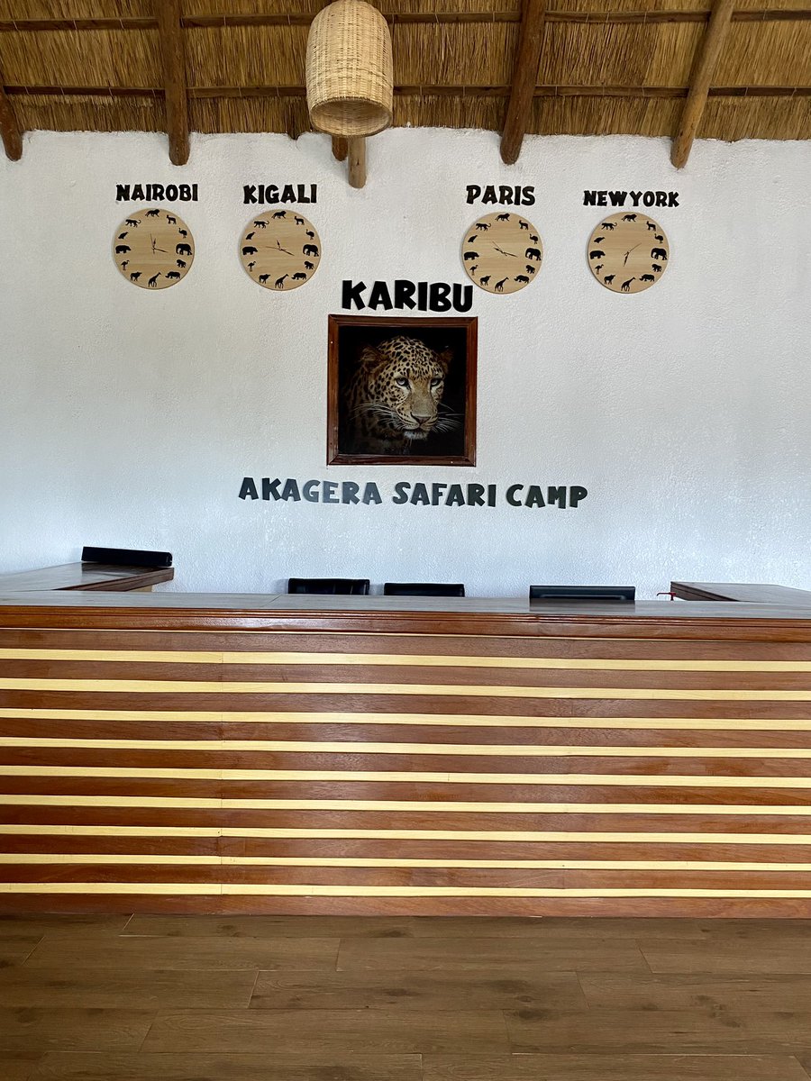 TujengeEA's tweet photo. Welcome to Akagera Safari Camp, the newest luxury experience overlooking Akagera National Park in Rwanda! 🇷🇼

Right from the entrance, you can feel a sense of the calmness at the camp. It’s beautiful African themed decor and furniture make you feel right at home 🦓 https://t.co/1zJvmzuEmS