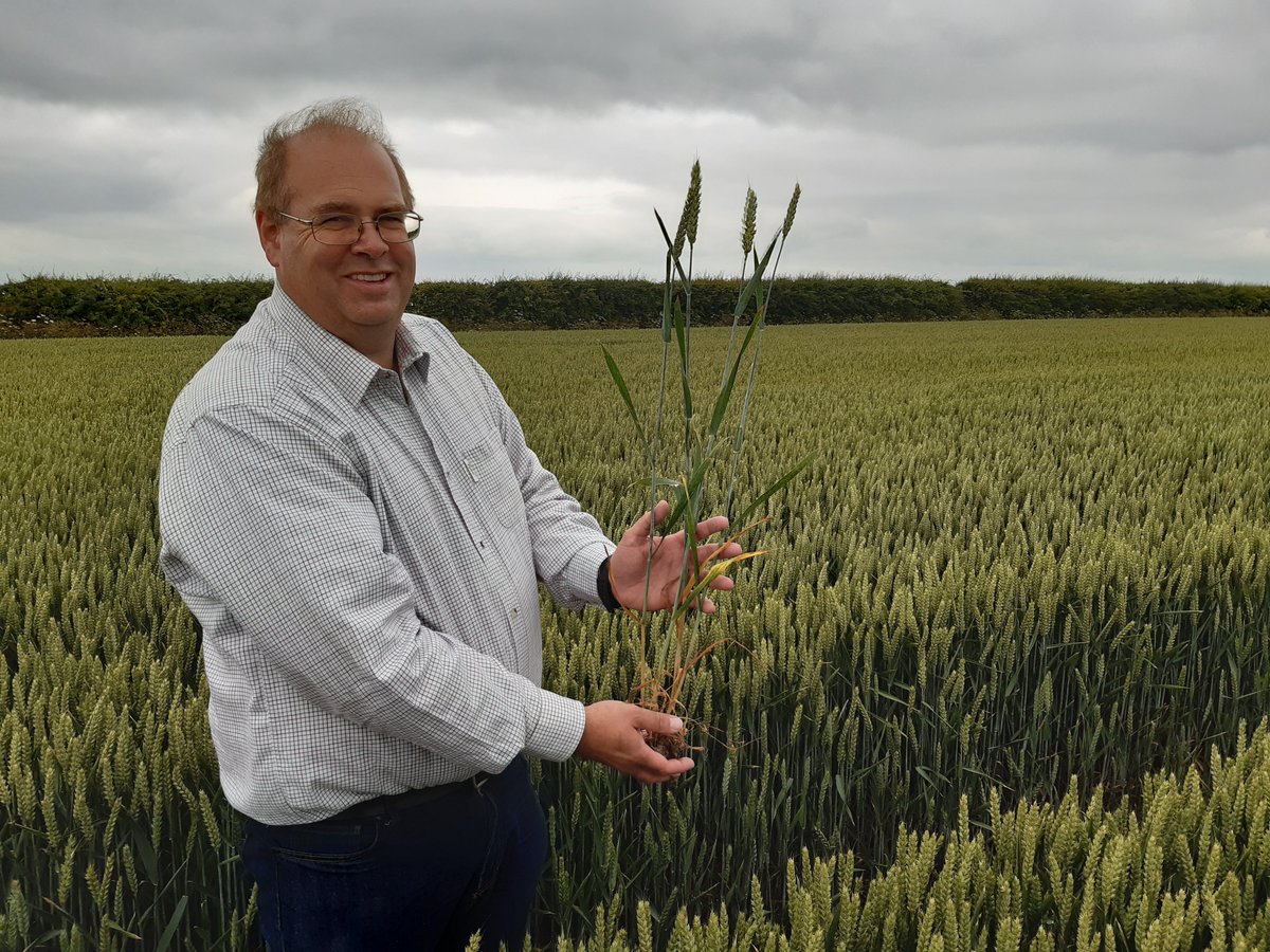 YEN - The Yield Enhancement Network (@adasyen) on Twitter photo 🌟IT'S OFFICIAL! 🌟
Guinness Book of Records <a href="/GWR/">Guinness World Records</a> has confirmed that the wheat (18.0t/Ha) & barley (16.2 t/Ha) YEN entries from Tim Lamyman are new world records!
#Britishfarming leading the world🌍
YEN is proud to support all growers to reach their full yield potential 🌾🌾🌾 🌟IT'S OFFICIAL! 🌟
Guinness Book of Records <a href="/GWR/">Guinness World Records</a> has confirmed that the wheat (18.0t/Ha) & barley (16.2 t/Ha) YEN entries from Tim Lamyman are new world records!
#Britishfarming leading the world🌍
YEN is proud to support all growers to reach their full yield potential 🌾🌾🌾