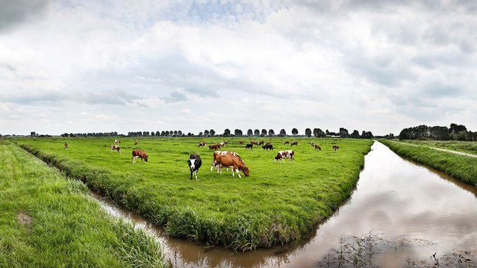 Er is voor #boeren veel veranderd op het gebied van #waterkwaliteit. Daarom organiseren we #bijeenkomsten op maandagmiddag 30 januari en woensdagavond 8 februari om hen te helpen met hun #watertaken.
Meer info over aanmelden?
👇
https://t.co/bVblBm2SuC