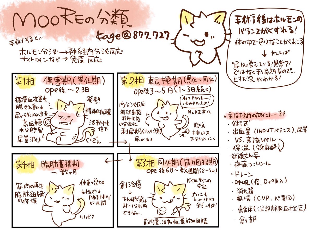 【外科/周手術期の看護】ムーアの分類🐱
・第Ⅰ相『異化期・急性傷害期』術後2～3日間
・第Ⅱ相『異化～同化期・転換期』術後3～5日目に始まり1～3日間持続
・第Ⅲ相『同化期・回復期』術後6日～数週間
・第Ⅳ相『脂肪蓄積期・脂肪増加期』第Ⅲ相から数か月
リフィリング/SSI/DVT/シバリング
 #かげ看 