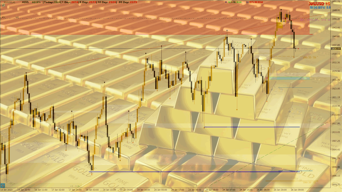 Mr.Hamster tweet media