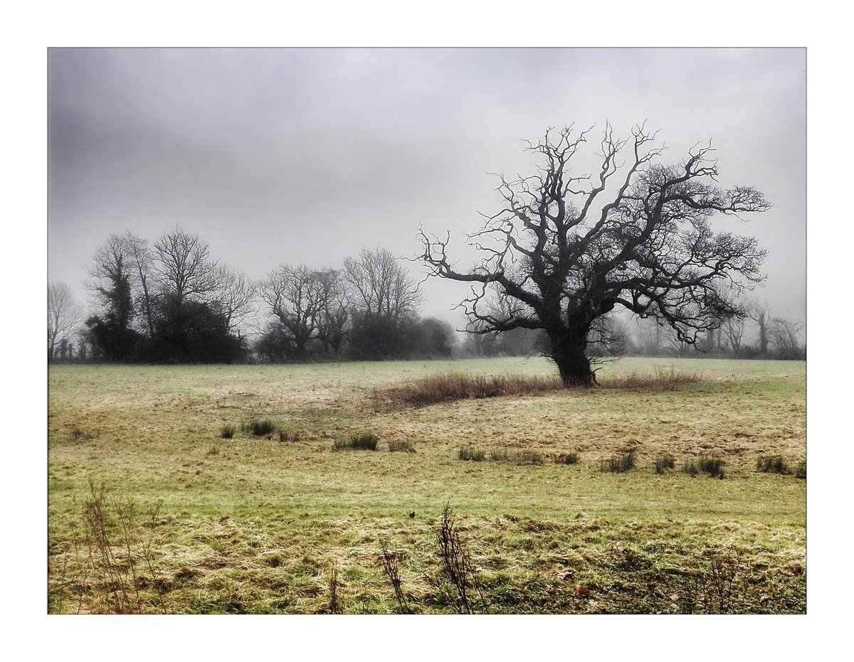 SteveHoltPhoto's tweet photo. 'Field' - Carmarthen Museum, Abergwili

The same field as before at the rear of the Museum
A week later and the flood waters have receded
@VisitWales @Discovercarms
#ThePhotoHour #StormHour #Wales #landscapephotography #blackandwhitephotography https://t.co/uxY7lEijbn