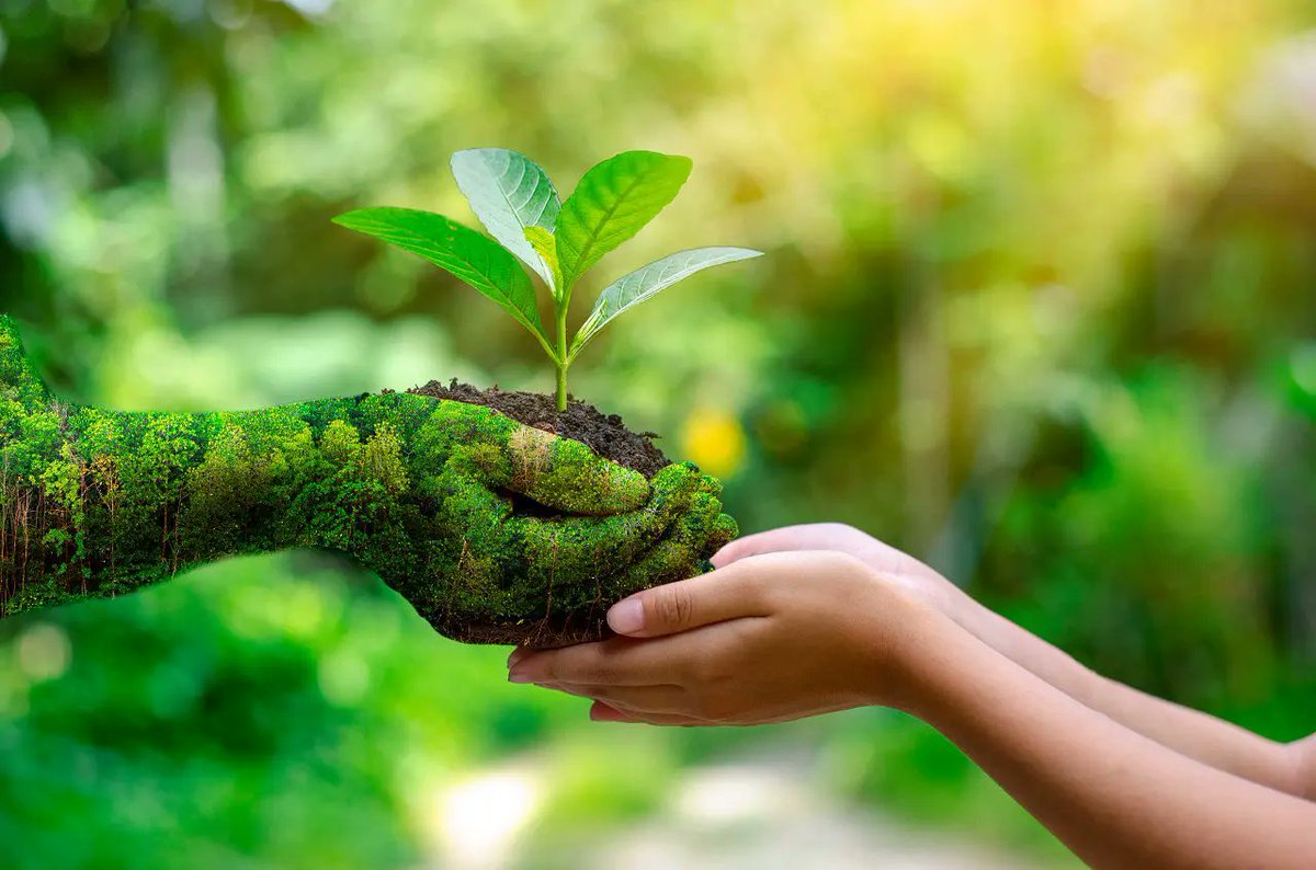 Hoy se celebra el Día Mundial de la Educación Ambiental laestaciononline.com.ar.leon.avnam.net/2023/01/26/hoy…