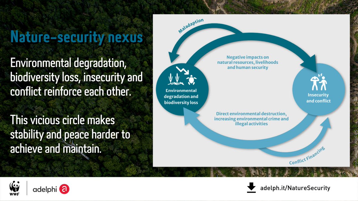 ClimateDiplo's tweet photo. Interesting example of #NatureSecurity nexus in Gabon🇬🇦. Many of the security issues affecting the country—resource competition, environmental crimes, etc—are explored in-depth in the @WWF-@adelphi_berlin flagship report "The Nature of Conflict & Peace".
👉🏾https://t.co/UfK0nYeE4e https://t.co/BU0NrJTblZ