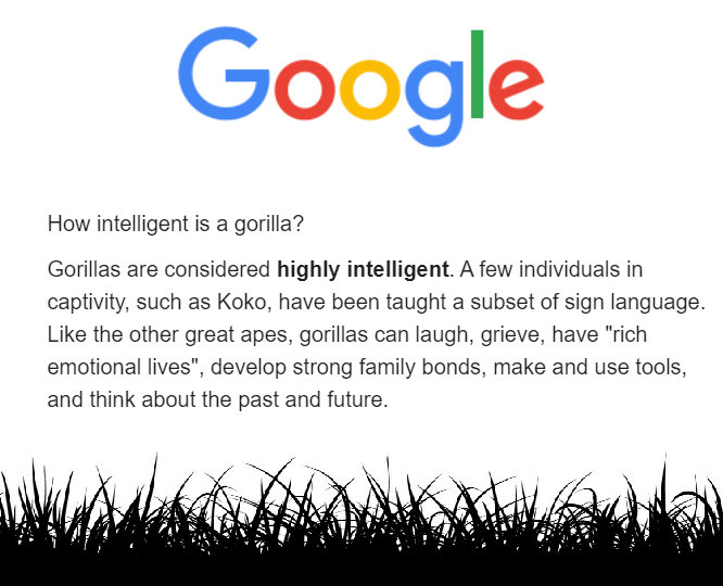 GORILLAS SMART!!!

OHH OHH AHH AHH - Where is my smoothie?