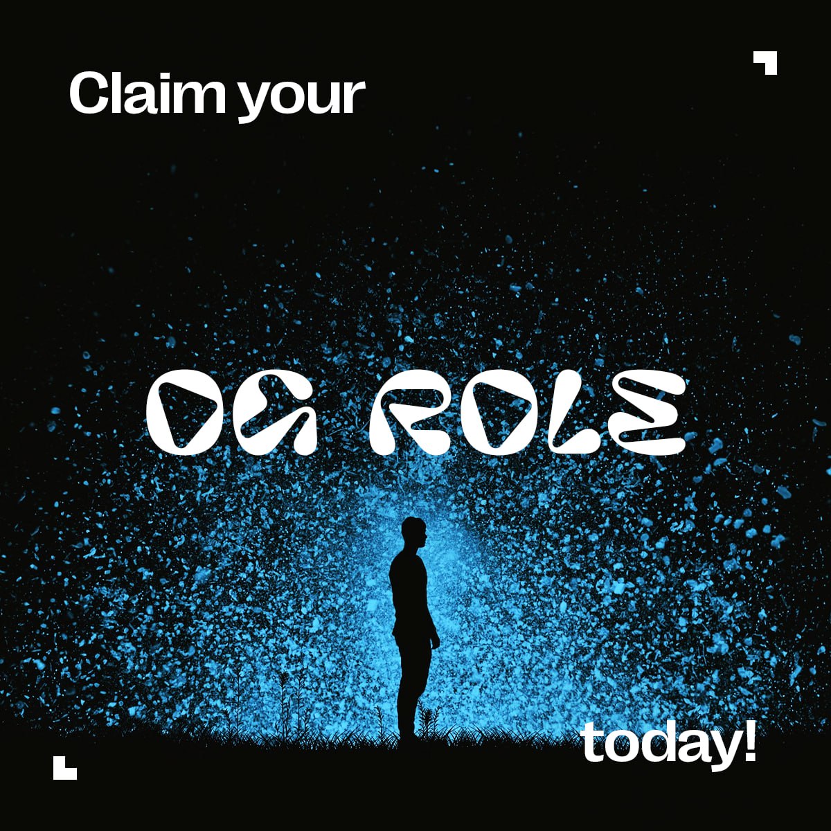 WonderPlace 💜 tweet media