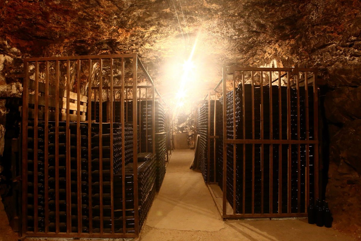 BodegasPeral's tweet photo. Nuestra cueva te dejará sin palabras, no podrás olvidarla, quedará grabada en tu memoria. ¿Te vienes a conocerla? ❤🍷
Escoge el pack que mejor se adapte a tus gustos 👉👉 https://t.co/IjF5XLlBaJ
https://t.co/JDVcBx85KZ
#bodegasperal #colmenardeoreja #madrid #bodega #vino #wine https://t.co/Jn08oiu3mW