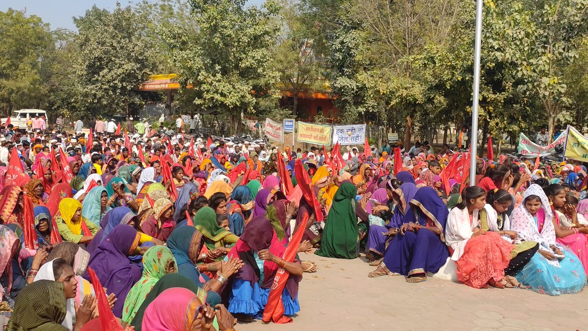 Jagrit Adivasi Dalit Sangathan tweet media