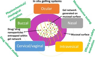 EJPB_'s tweet photo. In situ gelling drug delivery systems for topical drug delivery
⭐️#openaccess
#gelling #Stimuli_responsive #DrugDelivery #Viscometry #Rheometry #SAXS_SANS
https://t.co/q11Teax9jr https://t.co/nLzkEVmRSi