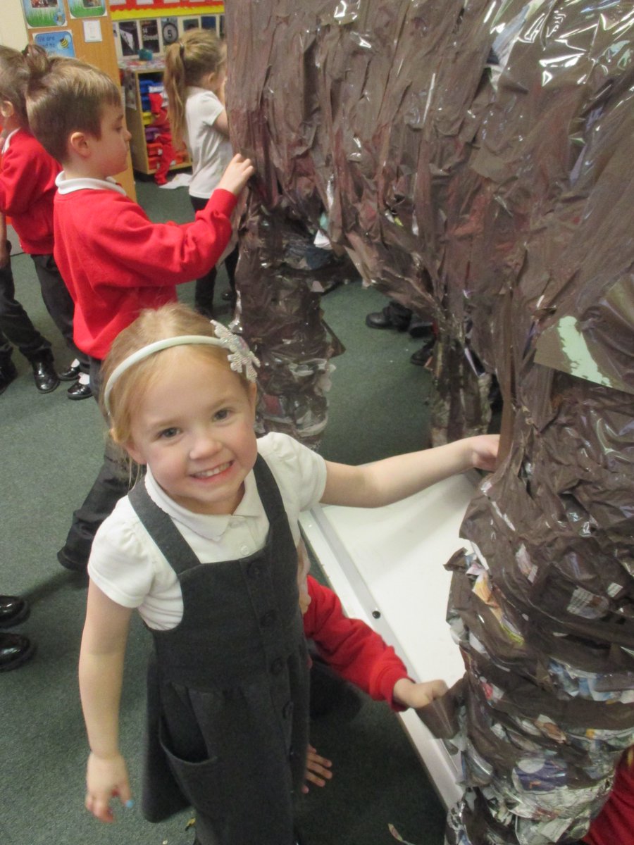 Shelton Infants tweet media