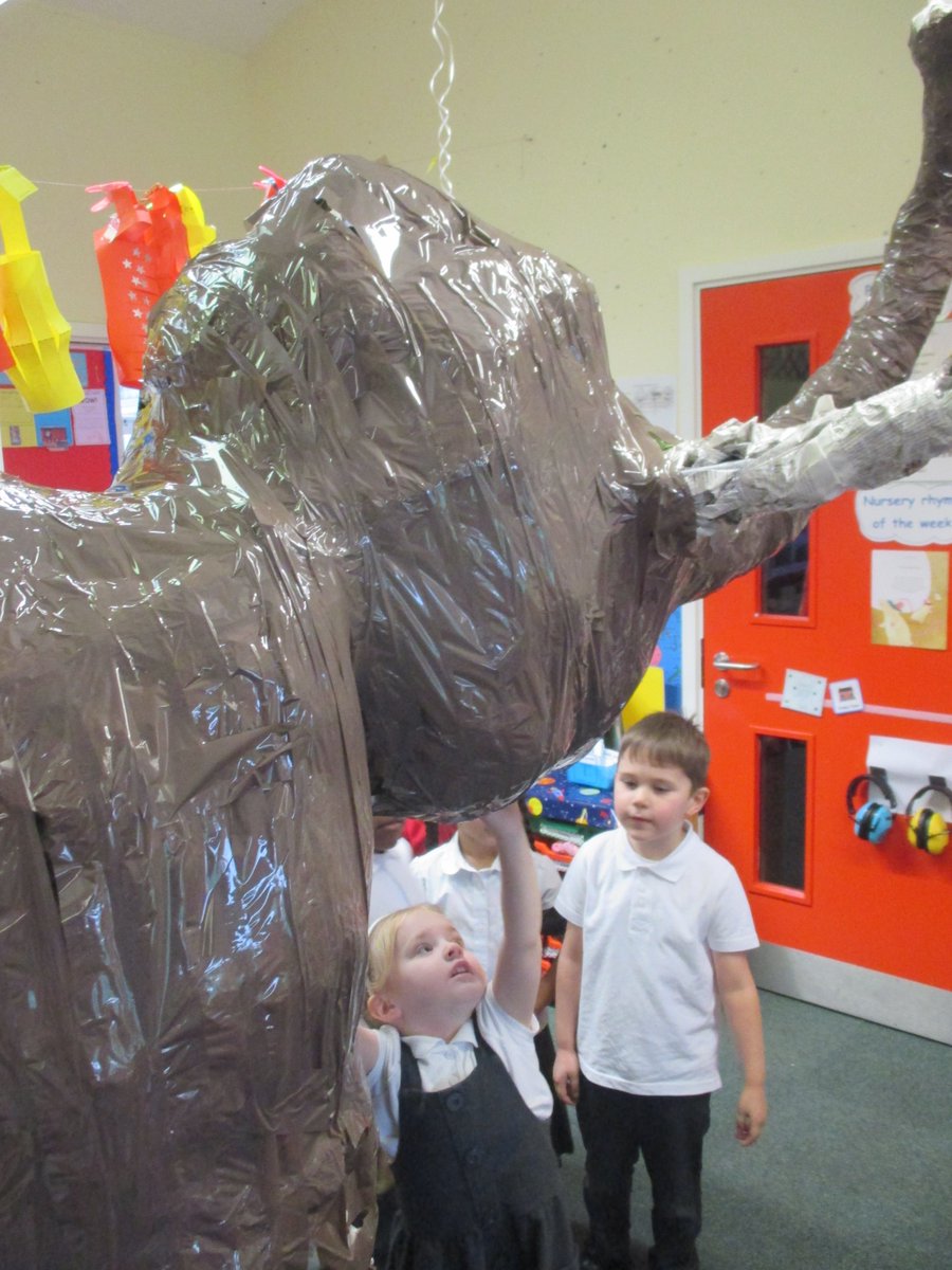 Shelton Infants tweet media