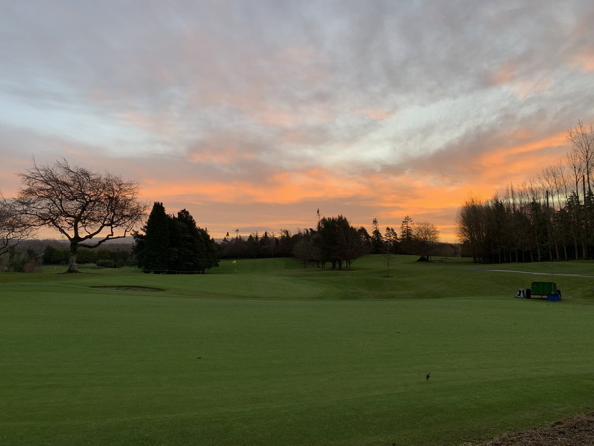 David Behan tweet media