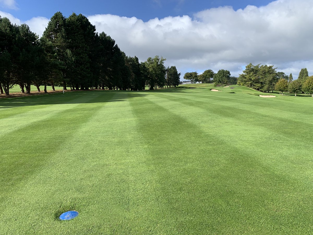 David Behan tweet media