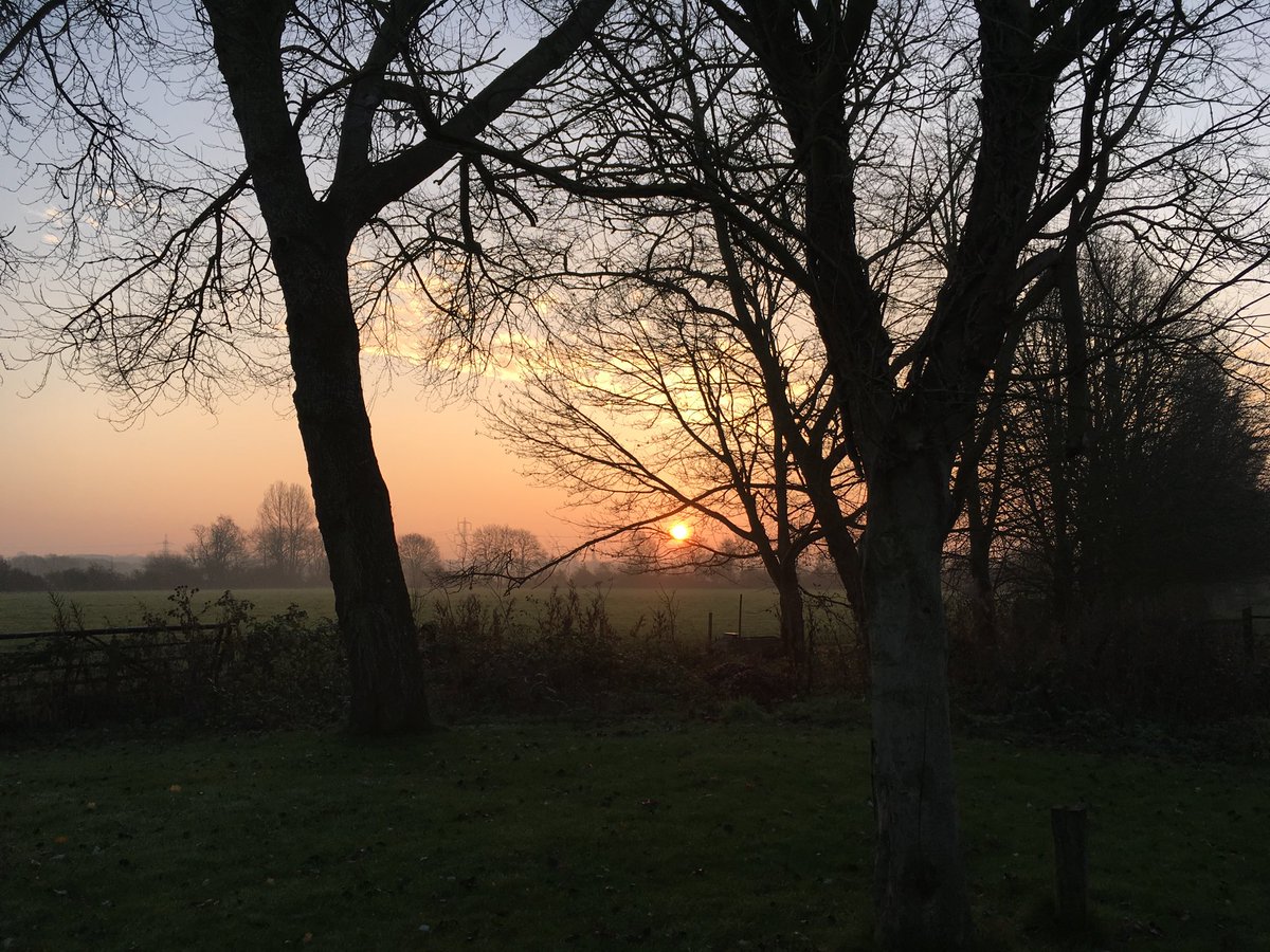 CGrove_author's tweet photo. Ah…the tales we weave… #writingcommunity #imaginaryworld #visionarypeople #oxfordshiremorning https://t.co/rEtgGoqLVD