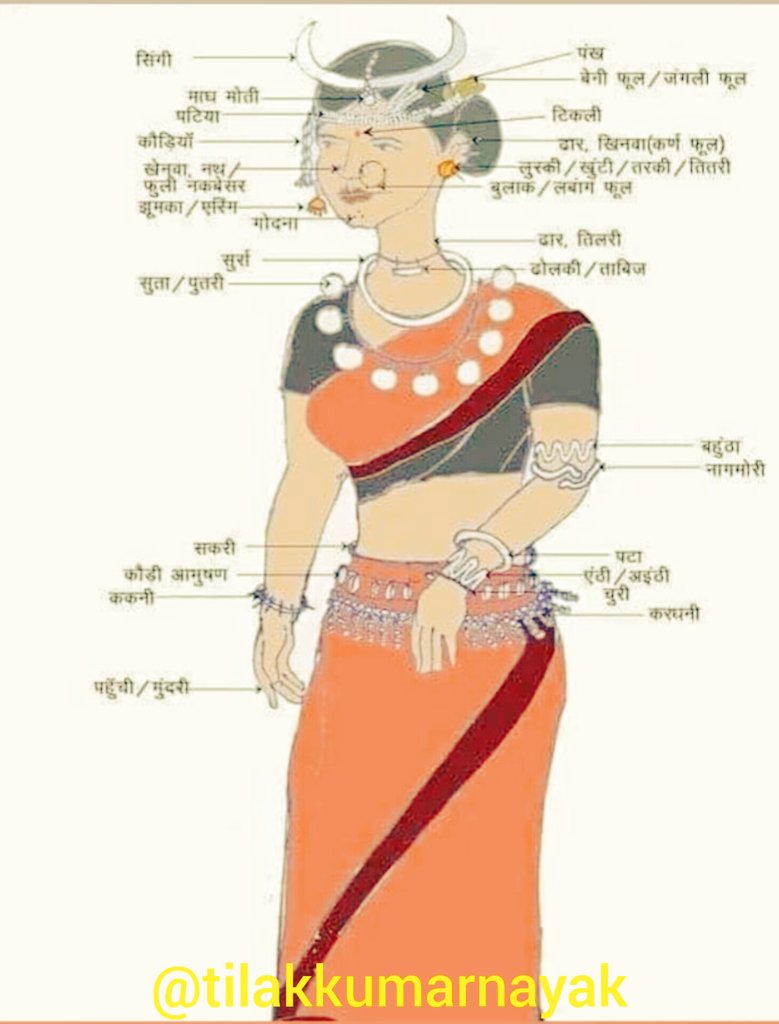 Tilak_NetamGond's tweet photo. #INDIGENOUS
#indigenouslanguages
#KoitoorIndian #Koitoor #Gond #Gondi
You can understand that Koitoor is the traditional form of Gond indigenous people.  This is our traditional system of dress.
#SebaJohar🙏

@AmericanIndian8 @Native3rd @Native_Today  @Natives_roots https://t.co/BwyKL7x7x9