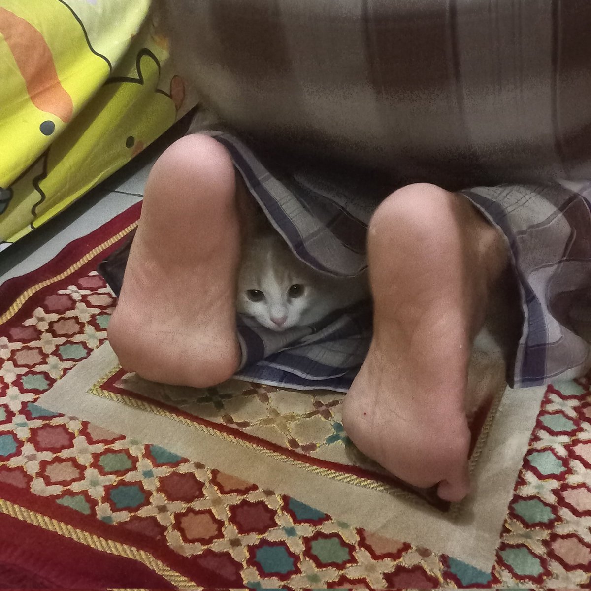 kochengfs tweet picture