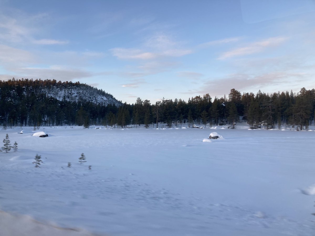 PolarQuest tweet media