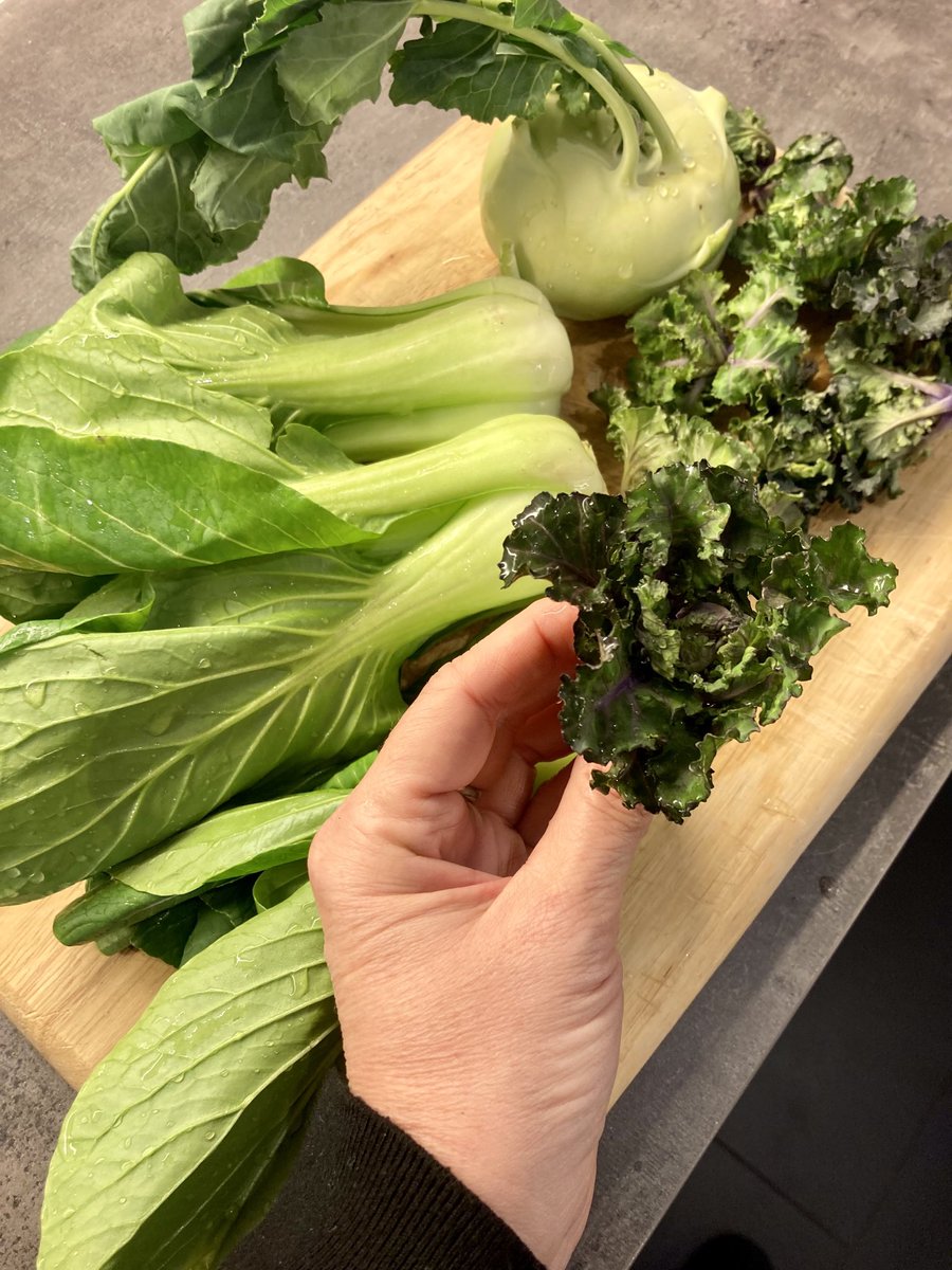 KrisBlackRose's tweet photo. My #leafygreens mania continued…. #bokchoi #kalette (kale/Brussels sprouts genetic mix), kohlrabi. First time to try #kalettes Cc @KristenJakobitz @LoriShemek @DrKristieLeong https://t.co/zDSE1xNJPF