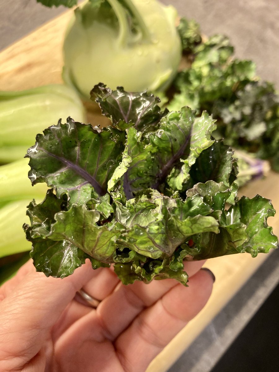 KrisBlackRose's tweet photo. My #leafygreens mania continued…. #bokchoi #kalette (kale/Brussels sprouts genetic mix), kohlrabi. First time to try #kalettes Cc @KristenJakobitz @LoriShemek @DrKristieLeong https://t.co/zDSE1xNJPF