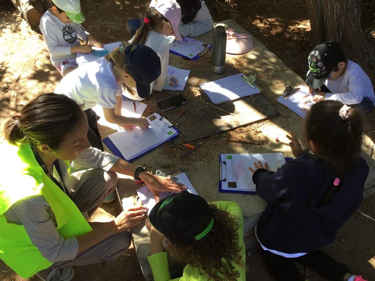 BSM Year 1 tweet media