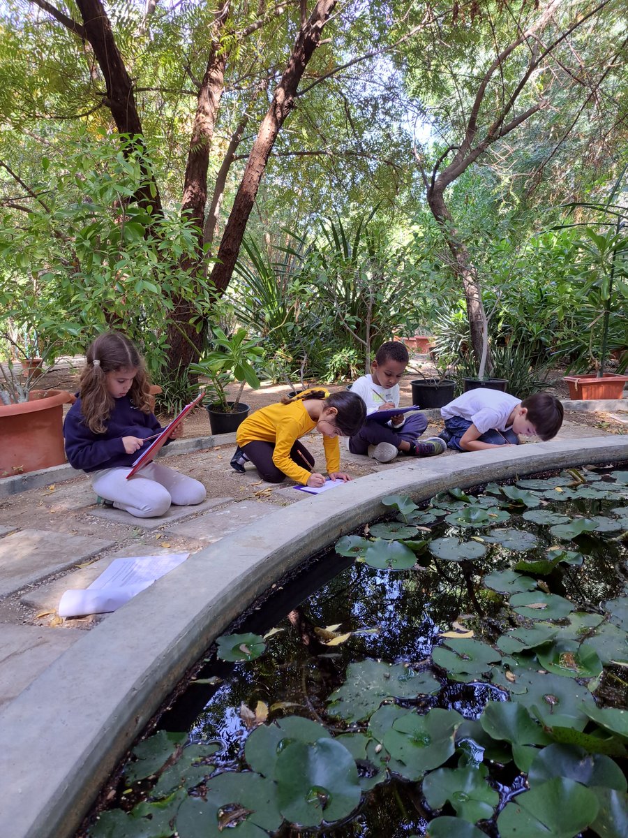 BSM Year 1 tweet media