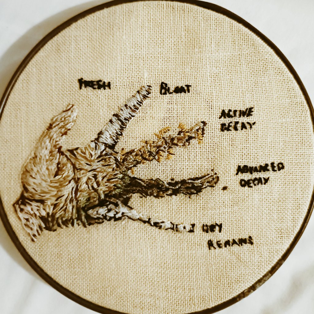 DirtyBirdyReal's tweet photo. Sometimes you make dongs, sometimes you do 3d modeling and web design, and sometimes you embroider stuff for your wife (idea borrowed from unknown source. I'd love to give them credit if anyone knows the originator) https://t.co/BzqgRdHTdF