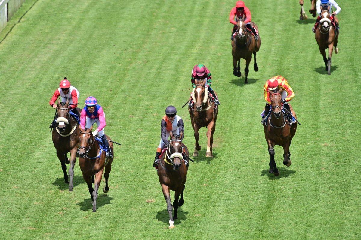 Stryker Strydom finds the Winners Box @ the Big T. The Blond Bomber has hit form ahead of this weekend Met.