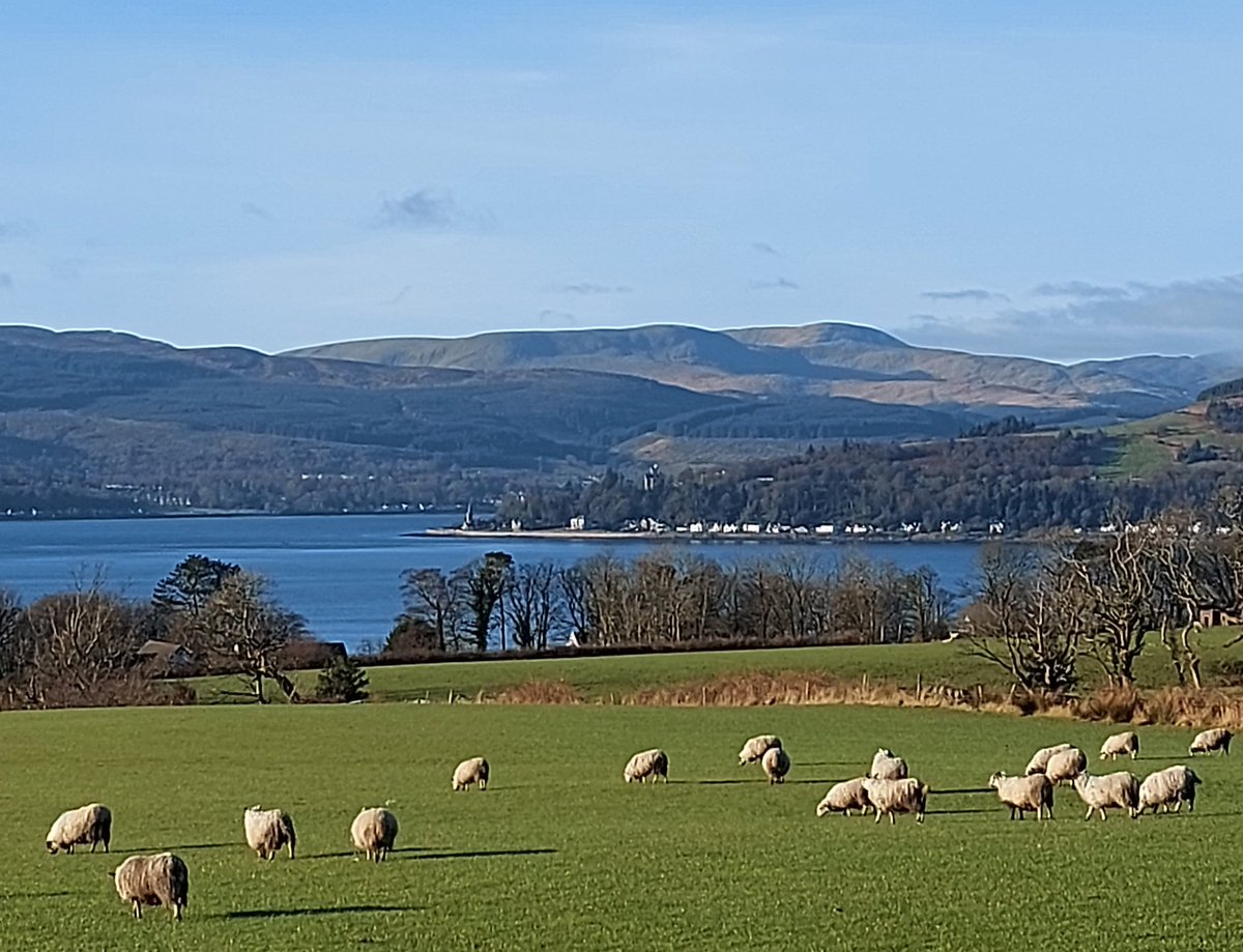 jcmcmurtrie's tweet photo. Some views from my stroll round the block in #Kilcreggan, #Argyll, this morning.
#Blairmore #Strone #Arran https://t.co/QIMHXd21Hx