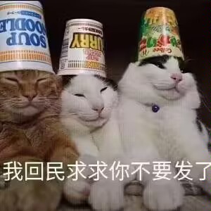 緋村心太 (@changleweiyang_) on Twitter photo 